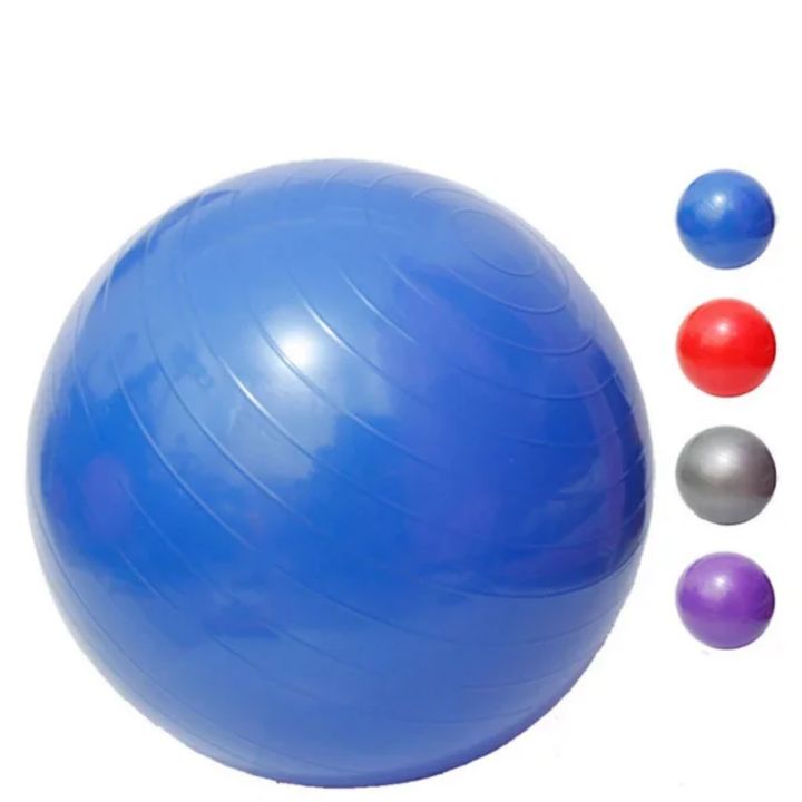 Exercise Ball (Blue, Red, Grey, Purple)